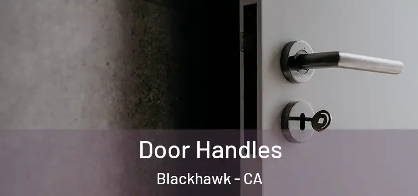  Door Handles Blackhawk - CA