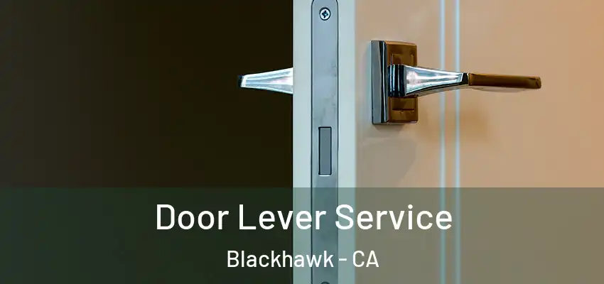  Door Lever Service Blackhawk - CA