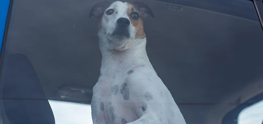 Car Lockout Solutions in Blackhawk, California