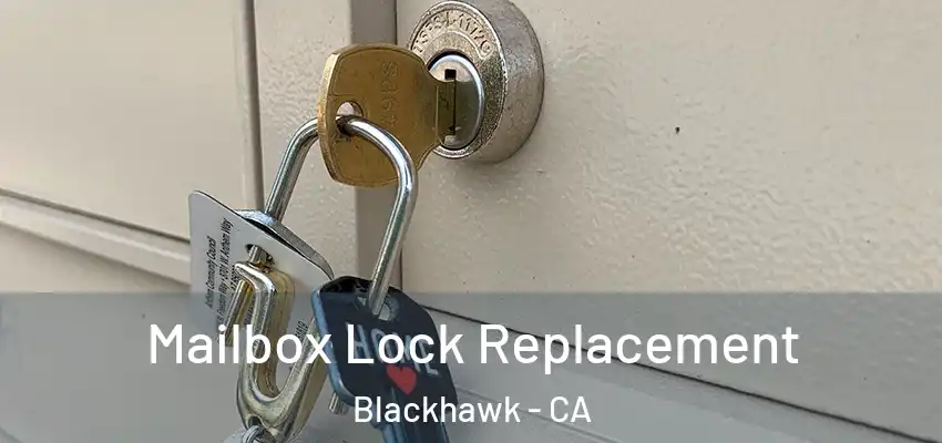  Mailbox Lock Replacement Blackhawk - CA