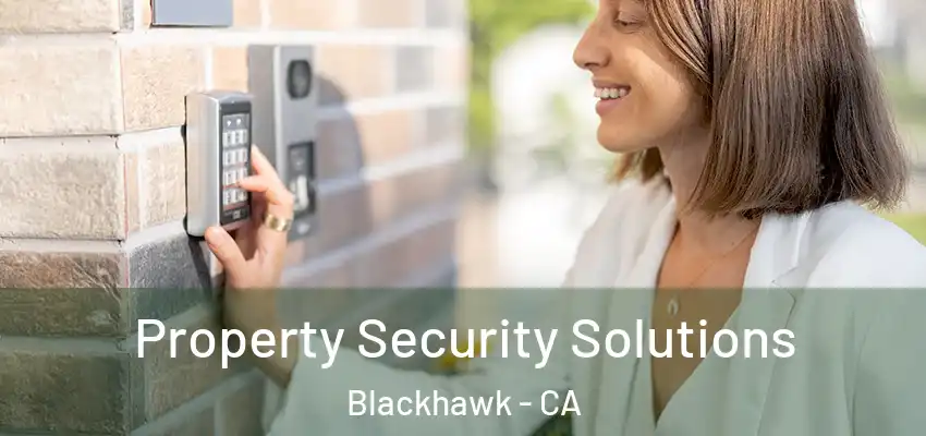  Property Security Solutions Blackhawk - CA